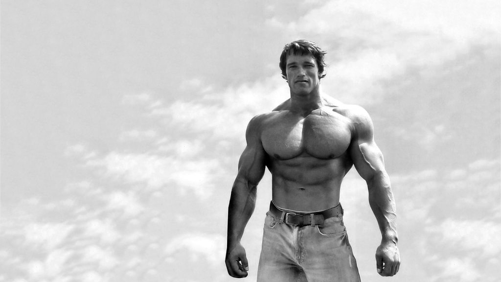 Bodybuilding Steroids