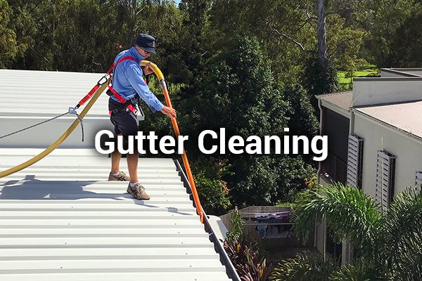 Rain Gutter Cleaning